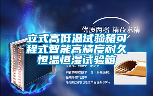 立式高低溫試驗(yàn)箱可程式智能高精度耐久恒溫恒濕試驗(yàn)箱