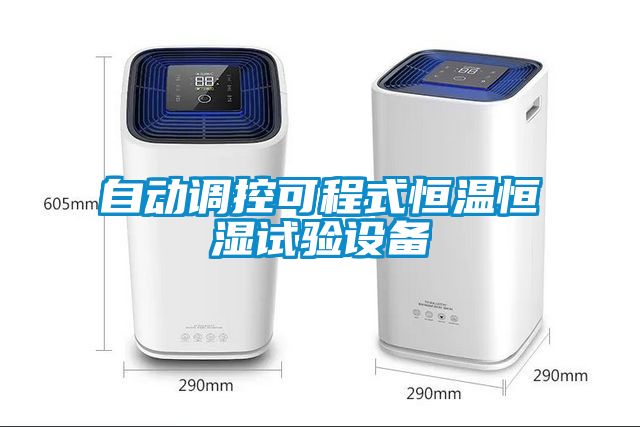 自動調(diào)控可程式恒溫恒濕試驗設備