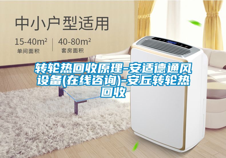 轉(zhuǎn)輪熱回收原理-安適德通風(fēng)設(shè)備(在線咨詢)-安丘轉(zhuǎn)輪熱回收