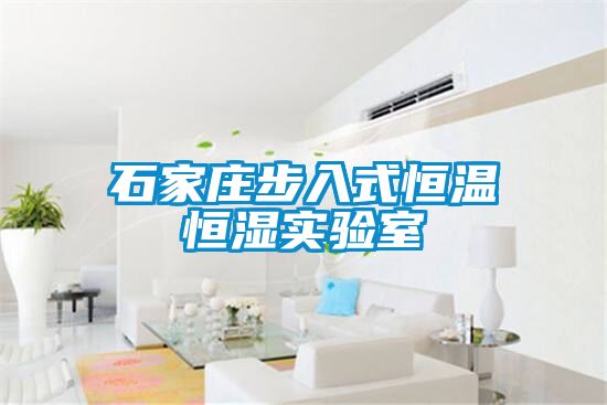 石家莊步入式恒溫恒濕實驗室
