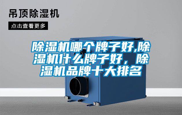 除濕機哪個牌子好,除濕機什么牌子好，除濕機品牌十大排名