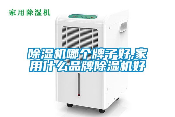 除濕機(jī)哪個牌子好,家用什么品牌除濕機(jī)好