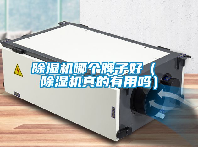 除濕機哪個牌子好（ 除濕機真的有用嗎）