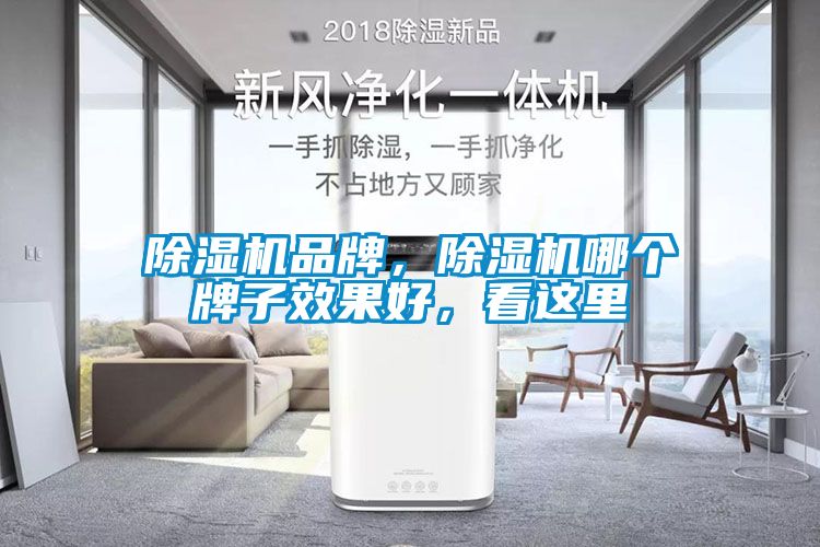 除濕機品牌，除濕機哪個牌子效果好，看這里