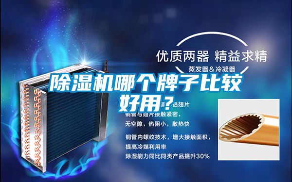 除濕機哪個牌子比較好用？