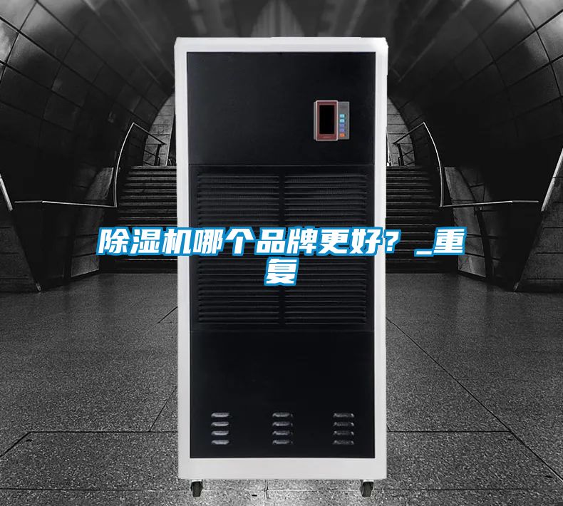 除濕機(jī)哪個(gè)品牌更好？_重復(fù)