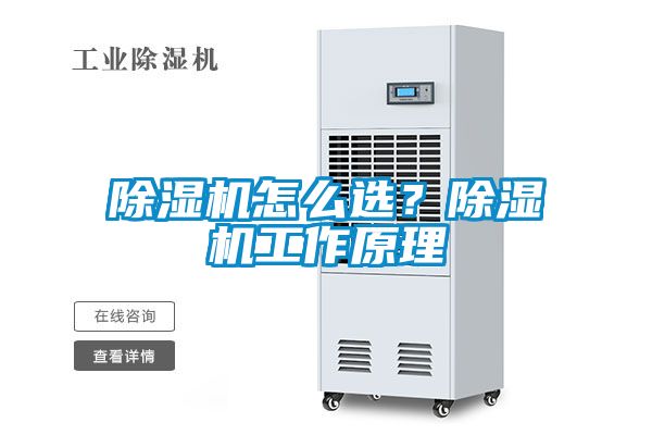 除濕機(jī)怎么選？除濕機(jī)工作原理