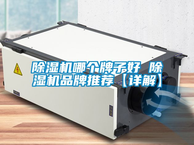 除濕機(jī)哪個(gè)牌子好 除濕機(jī)品牌推薦【詳解】