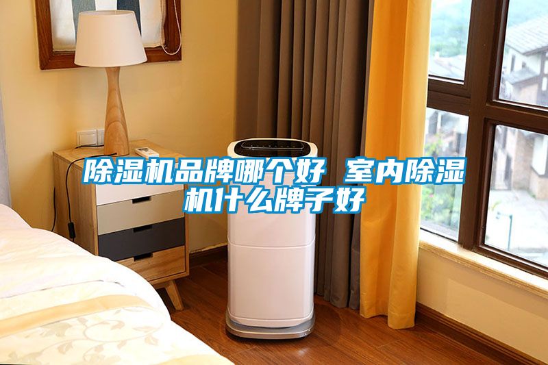 除濕機(jī)品牌哪個(gè)好 室內(nèi)除濕機(jī)什么牌子好
