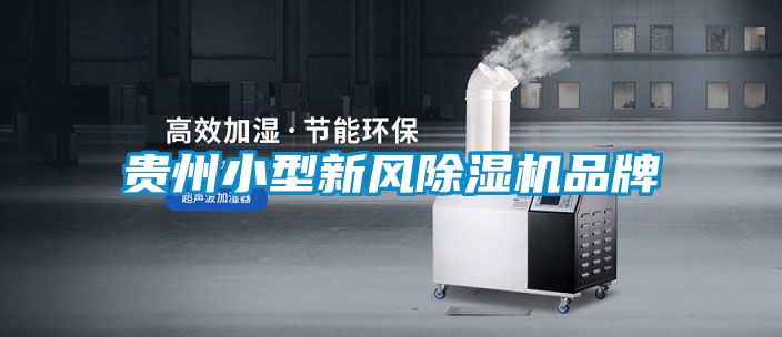 貴州小型新風(fēng)除濕機(jī)品牌