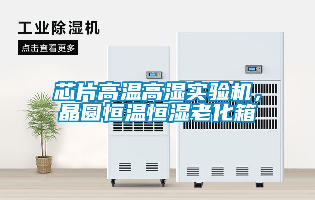 芯片高溫高濕實(shí)驗(yàn)機(jī)，晶圓恒溫恒濕老化箱