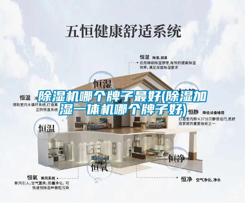 除濕機哪個牌子最好(除濕加濕一體機哪個牌子好)