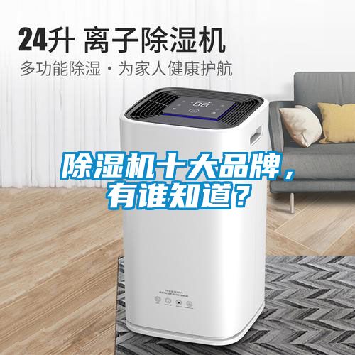 除濕機十大品牌，有誰知道？