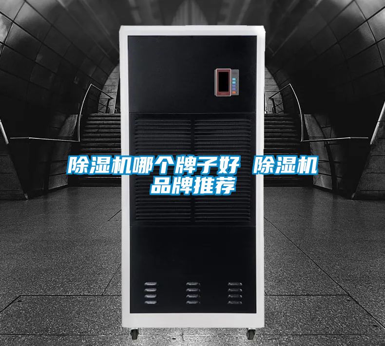 除濕機哪個牌子好 除濕機品牌推薦