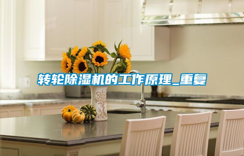 轉(zhuǎn)輪除濕機的工作原理_重復(fù)