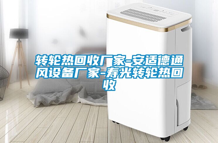 轉輪熱回收廠家-安適德通風設備廠家-壽光轉輪熱回收