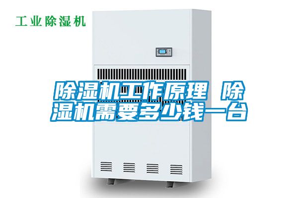 除濕機(jī)工作原理 除濕機(jī)需要多少錢一臺