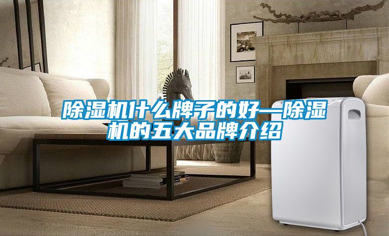 除濕機(jī)什么牌子的好—除濕機(jī)的五大品牌介紹
