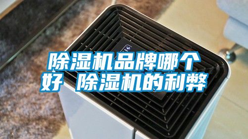 除濕機(jī)品牌哪個好 除濕機(jī)的利弊