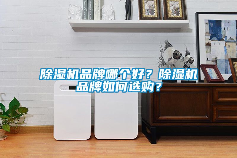除濕機(jī)品牌哪個(gè)好？除濕機(jī)品牌如何選購(gòu)？