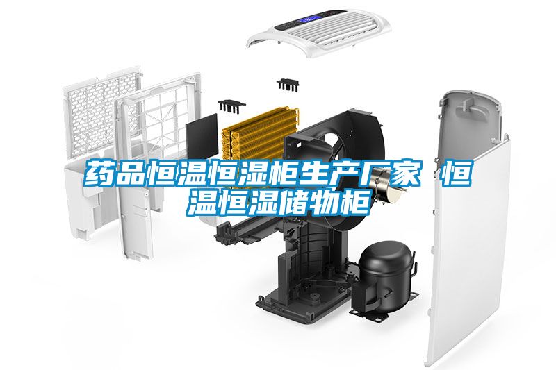 藥品恒溫恒濕柜生產廠家 恒溫恒濕儲物柜