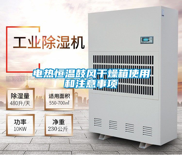 電熱恒溫鼓風(fēng)干燥箱使用和注意事項(xiàng)