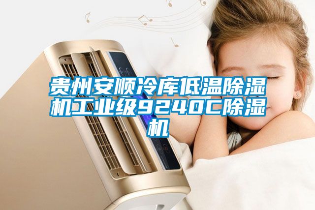 貴州安順冷庫(kù)低溫除濕機(jī)工業(yè)級(jí)9240C除濕機(jī)