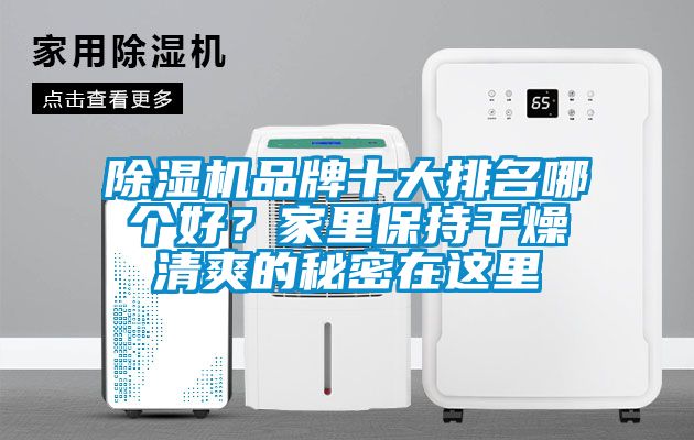 除濕機(jī)品牌十大排名哪個好？家里保持干燥清爽的秘密在這里