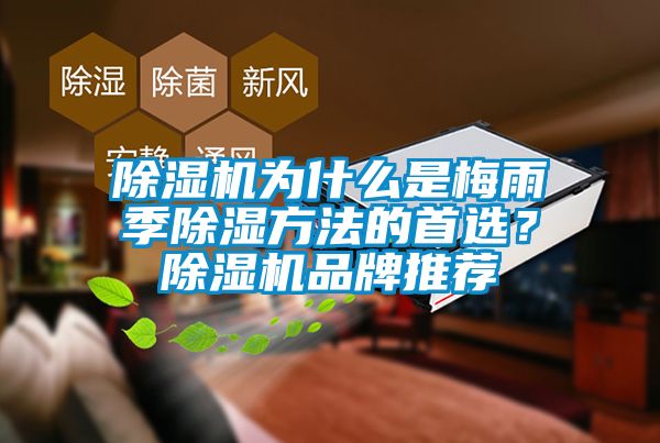 除濕機為什么是梅雨季除濕方法的首選？除濕機品牌推薦