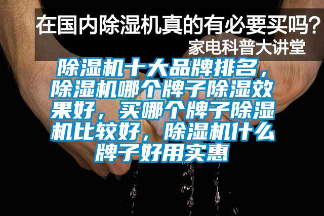 除濕機十大品牌排名，除濕機哪個牌子除濕效果好，買哪個牌子除濕機比較好，除濕機什么牌子好用實惠