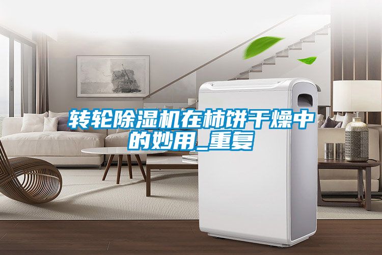 轉(zhuǎn)輪除濕機(jī)在柿餅干燥中的妙用_重復(fù)