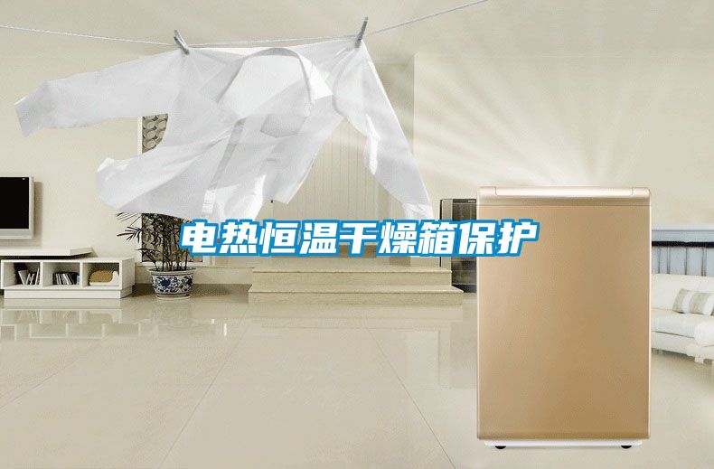 電熱恒溫干燥箱保護(hù)