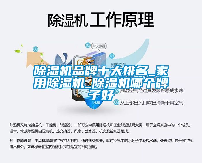 除濕機品牌十大排名_家用除濕機_除濕機哪個牌子好