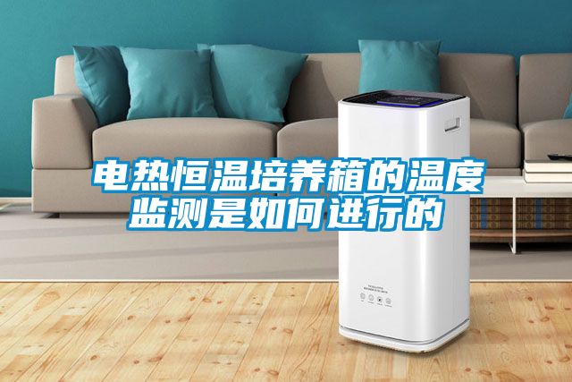 電熱恒溫培養(yǎng)箱的溫度監(jiān)測是如何進(jìn)行的