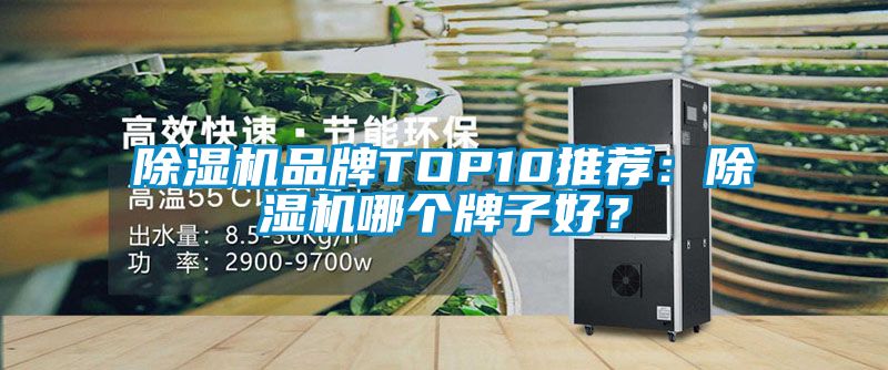 除濕機(jī)品牌TOP10推薦：除濕機(jī)哪個(gè)牌子好？