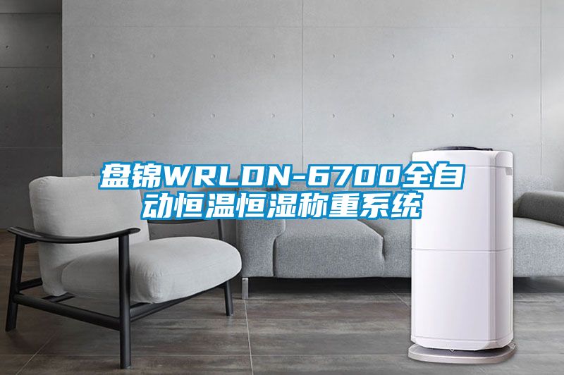 盤(pán)錦WRLDN-6700全自動(dòng)恒溫恒濕稱(chēng)重系統(tǒng)