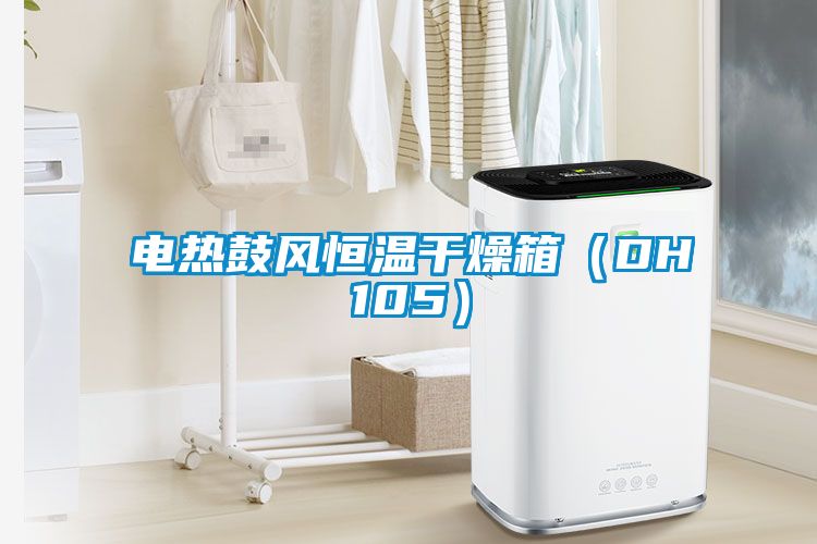 電熱鼓風恒溫干燥箱（DH105）