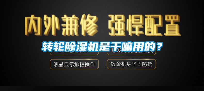 轉(zhuǎn)輪除濕機是干嘛用的？