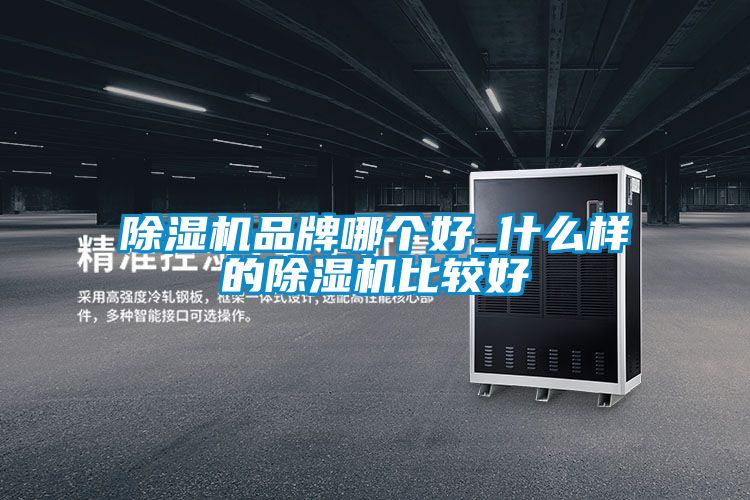 除濕機(jī)品牌哪個好_什么樣的除濕機(jī)比較好