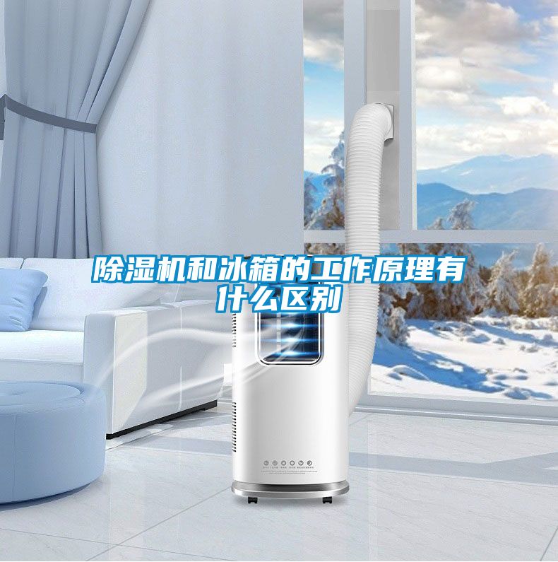 除濕機和冰箱的工作原理有什么區(qū)別