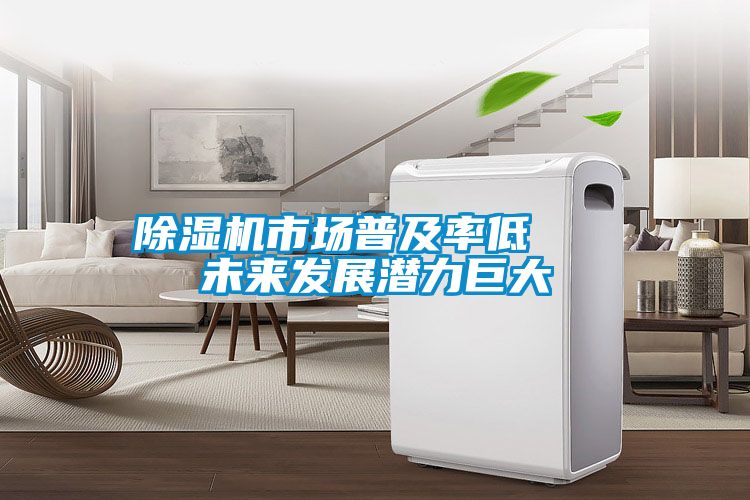 除濕機(jī)市場(chǎng)普及率低   未來(lái)發(fā)展?jié)摿薮?/></p>
<p style=