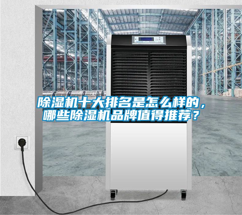 除濕機十大排名是怎么樣的，哪些除濕機品牌值得推薦？