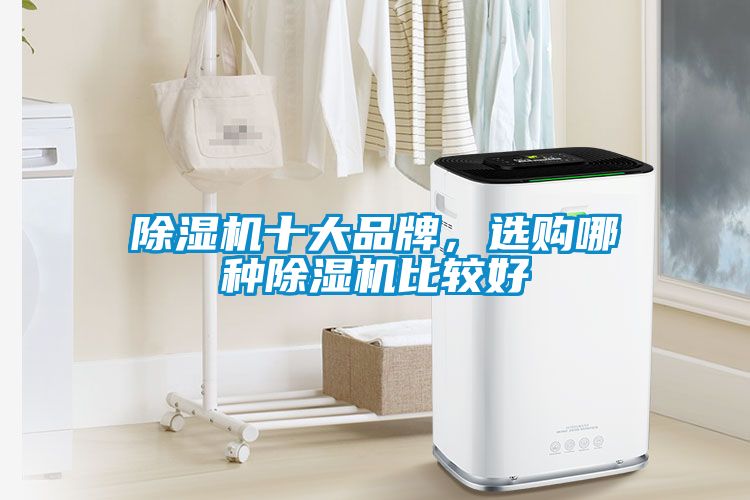 除濕機(jī)十大品牌，選購(gòu)哪種除濕機(jī)比較好