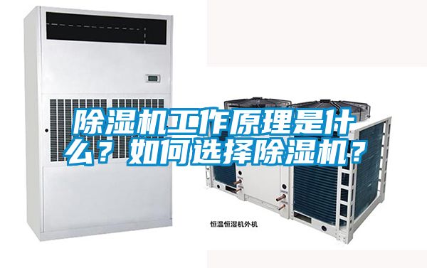 除濕機工作原理是什么？如何選擇除濕機？