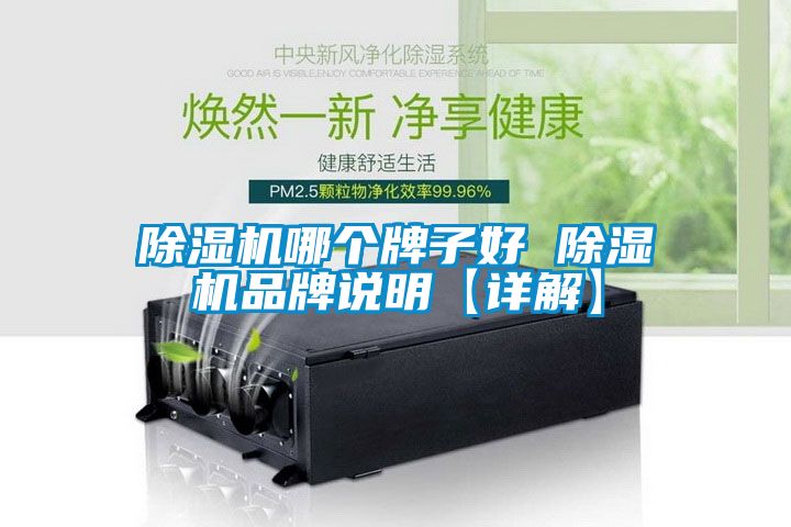 除濕機哪個牌子好 除濕機品牌說明【詳解】
