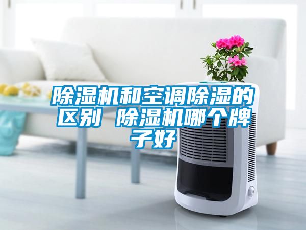 除濕機和空調除濕的區別 除濕機哪個牌子好