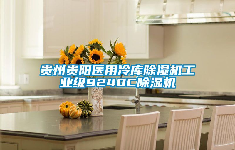 貴州貴陽醫用冷庫除濕機工業級9240C除濕機