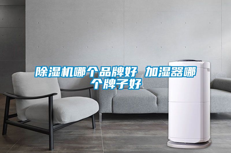 除濕機(jī)哪個(gè)品牌好 加濕器哪個(gè)牌子好