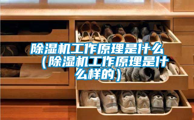 除濕機(jī)工作原理是什么（除濕機(jī)工作原理是什么樣的）