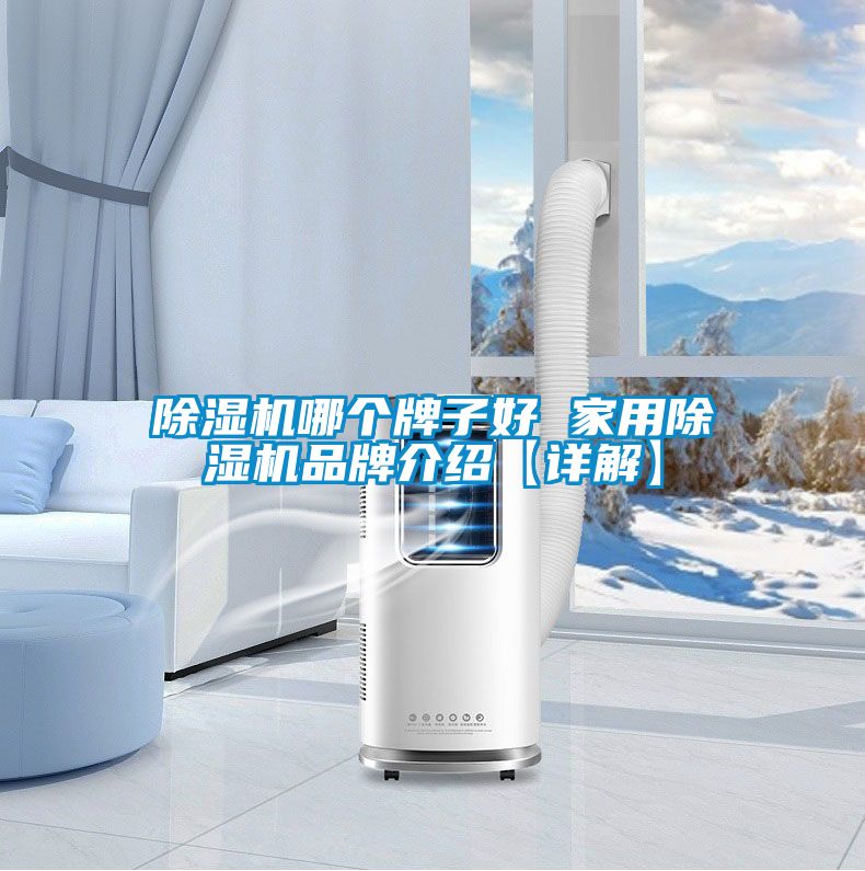 除濕機哪個牌子好 家用除濕機品牌介紹【詳解】
